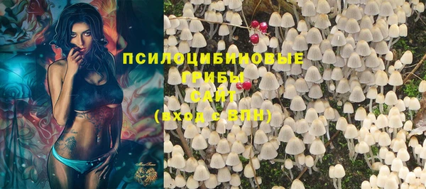 стаф Покачи