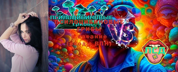 стаф Покачи