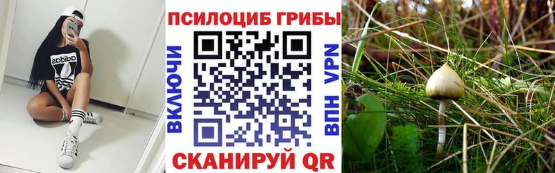 Псилоцибиновые грибы Psilocybine cubensis Верхний Уфалей