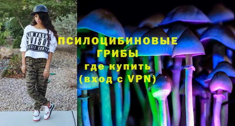 Галлюциногенные грибы Psilocybe  Верхний Уфалей 