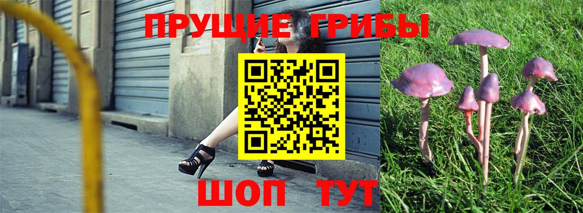 Псилоцибиновые грибы мухоморы  Галлюциногенные грибы GOLDEN TEACHER  Вход с VPN  Верхний Уфалей 